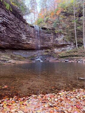 Meet your Posher, Janice